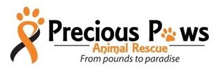 Precious Paws Animal Rescue