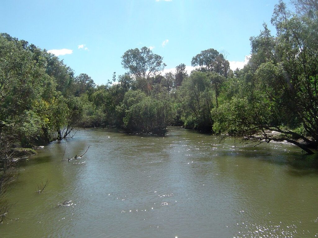 'Muddy' Logan River