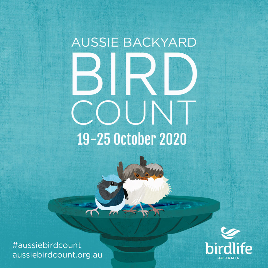 2020 Aussie Backyard Bird Count